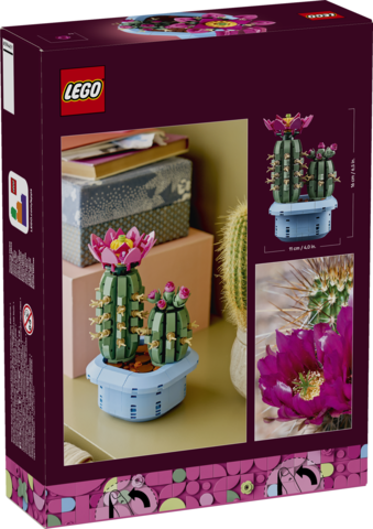 LEGO Botanicals Cactus en fleur 11509
