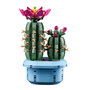 LEGO Botanicals Cactus fleuri 11509