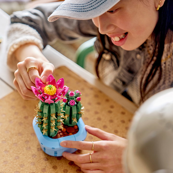LEGO Botanicals Cactus fleuri 11509 LEGO Botanicals Cactus fleuri 11509
