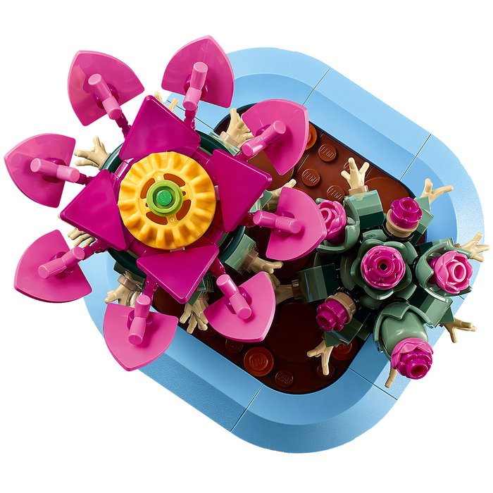 LEGO Botanicals Cactus fleuri 11509 LEGO Botanicals Cactus fleuri 11509