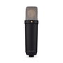 RØDE Microphone à condensateur NT1-A 5ème génération avec XLR/USB-C, Noir (NT1GEN5B)