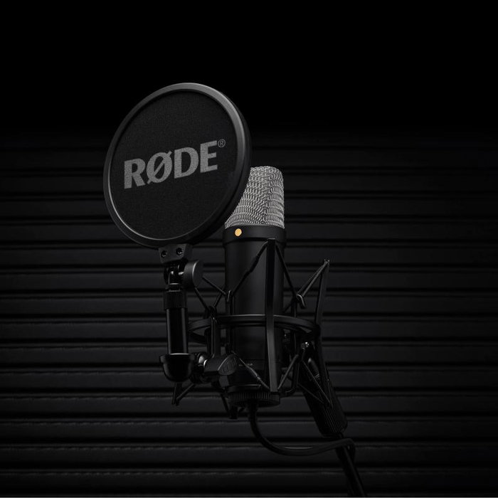 RØDE Microphone à condensateur NT1-A 5ème génération avec XLR/USB-C, Noir (NT1GEN5B)