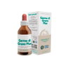 Forza Vitale DINAMIS (germen di grano plus) 100ml