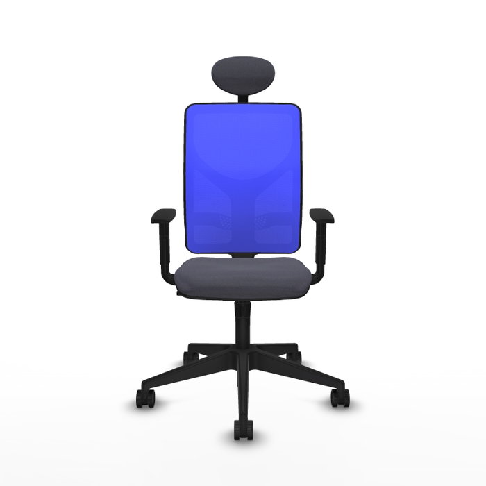 Piqueras y Crespo Chaise de Bureau Motilla Gris foncé et Bleu