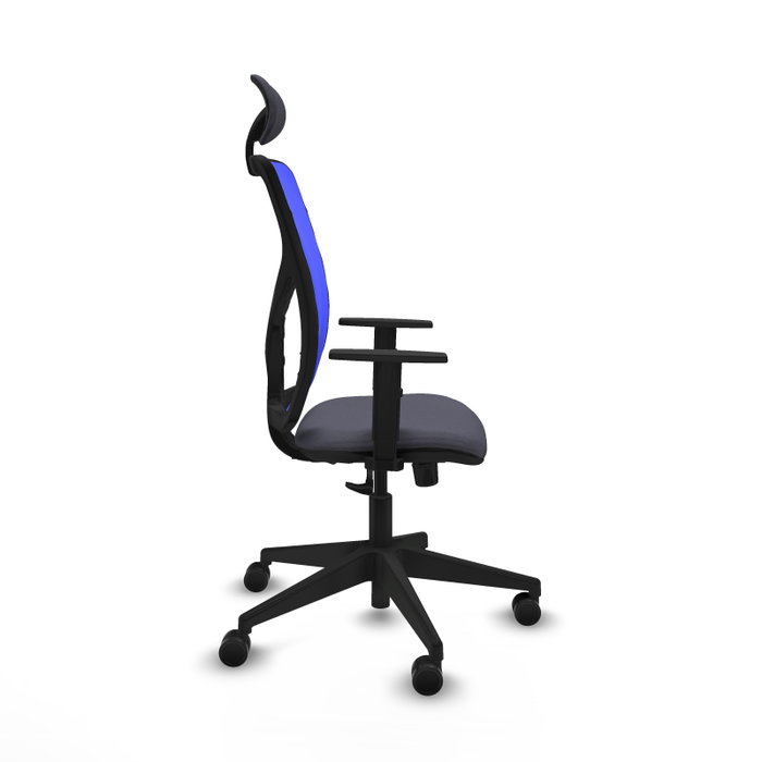Piqueras y Crespo Chaise de Bureau Motilla Gris foncé et Bleu