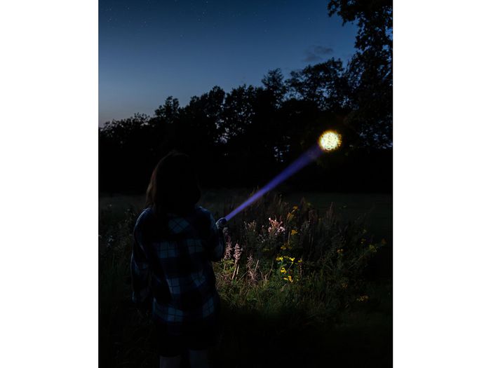Sandberg Survivor Torch Powerbank 5000 - Lampe torche et batterie portable robuste, chargeur USB, résistante aux chocs