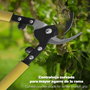 WOLFPACK LINEA PROFESIONAL Ciseaux de taille professionnels 1172/60 cm