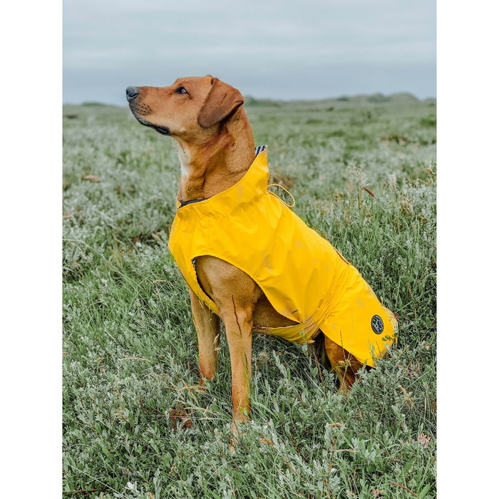 Manteau pour Chien Hunter Milford Jaune 50 cm Manteau pour Chien Hunter Milford Jaune 50 cm