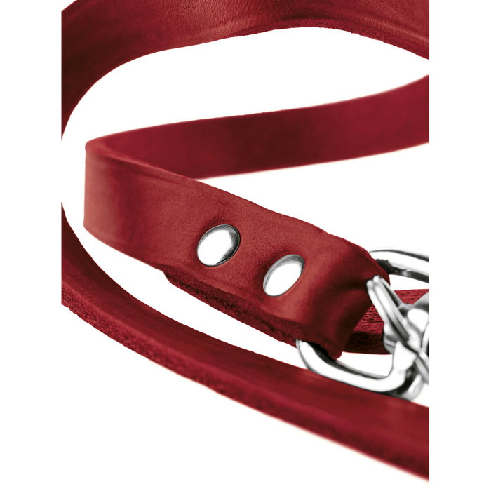 Laisse pour Chien Hunter Rouge 2 m Réglable Cuir Laisse pour Chien Hunter Rouge 2 m Réglable Cuir