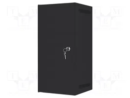 Lanberg Armoire rack murale 10 pouces 12U noir
