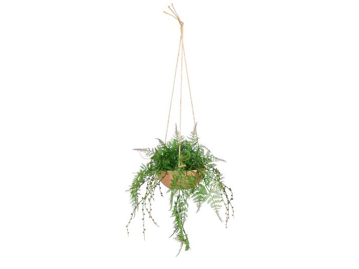 Ibergarden Maceta Barro Helecho Colgar 27x36x17 cm Plastique Marron Vert (Set de 8) Ibergarden Maceta Barro Helecho Colgar 27x36x17 cm Plastique Marron Vert (Set de 8)