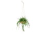 Ibergarden Maceta Barro Helecho Colgar 27x36x17 cm Plastique Marron Vert (Set de 8)