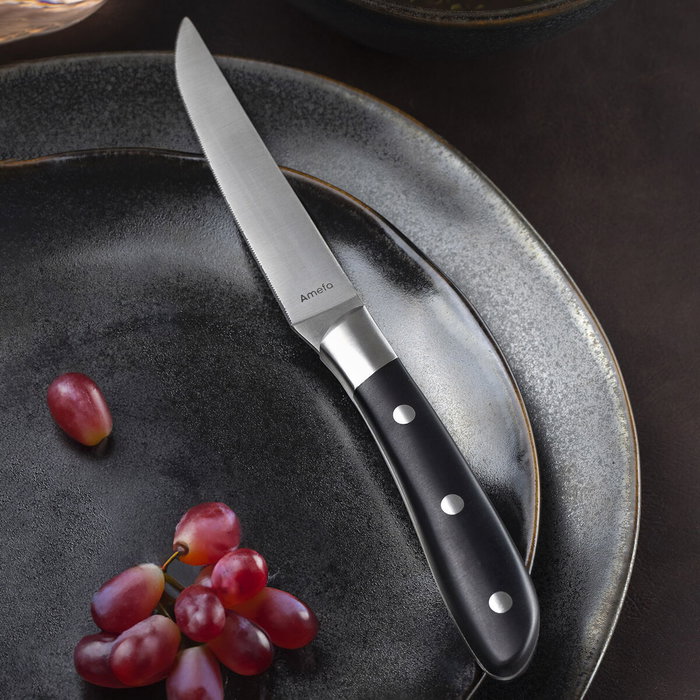 Ensemble de couteaux à viande Amefa Achille Métal 23 x 2,4 x 1,5 cm 6 Unités Ensemble de couteaux à viande Amefa Achille Métal 23 x 2,4 x 1,5 cm 6 Unités