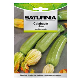 SATURNIA Semences de Courgette Vert Foncé (5g)