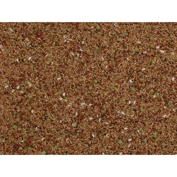 Nourriture pour oiseaux Deli Nature 800 gr