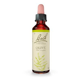 FLORES BACH ORIGINAL Olive (Olivo) 20 ml