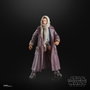 Hasbro Star Wars The Black Series Jod Nawood