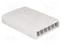 DELOCK Boîtier Keystone blanc pour montage mural