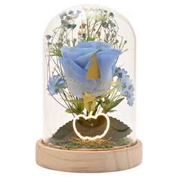 WIDDOP & CO Fleur Clochette et Cendrillon Disney Princesses