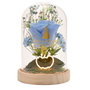 WIDDOP & CO Fleur Clochette et Cendrillon Disney Princesses
