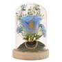 WIDDOP & CO Fleur Clochette et Cendrillon Disney Princesses