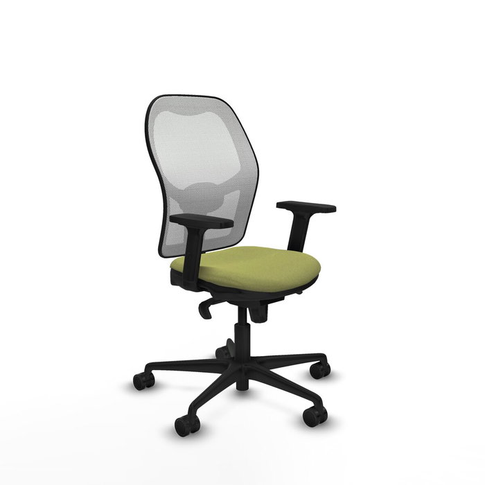 Piqueras y Crespo Chaise de Bureau 2D036N0 Vert Piqueras y Crespo Chaise de Bureau 2D036N0 Vert