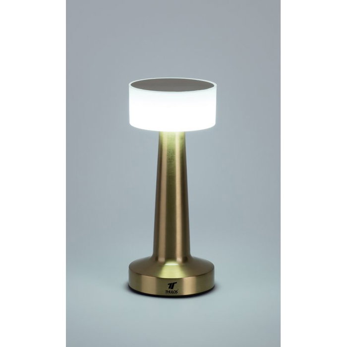 Thulos Lampe LED sans Fil Rechargeable TH-OA4010 3 Modes Lumière USB-C 1200 mAh Thulos Lampe LED sans Fil Rechargeable TH-OA4010 3 Modes Lumière USB-C 1200 mAh