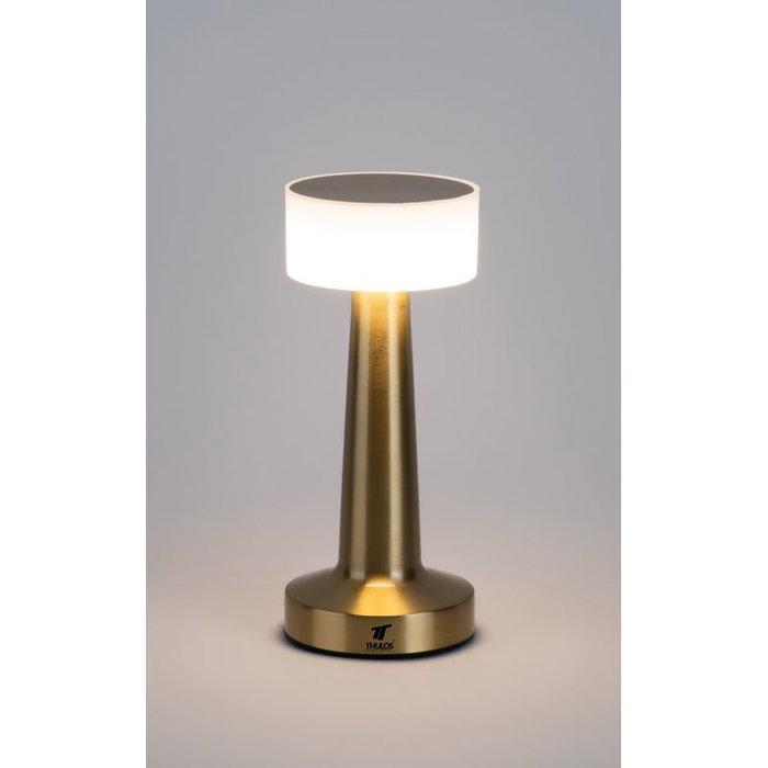 Thulos Lampe LED sans Fil Rechargeable TH-OA4010 3 Modes Lumière USB-C 1200 mAh Thulos Lampe LED sans Fil Rechargeable TH-OA4010 3 Modes Lumière USB-C 1200 mAh