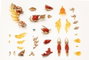 Arcanadea Plastic Model Kit XenoAlma Flame Straile 10 cm