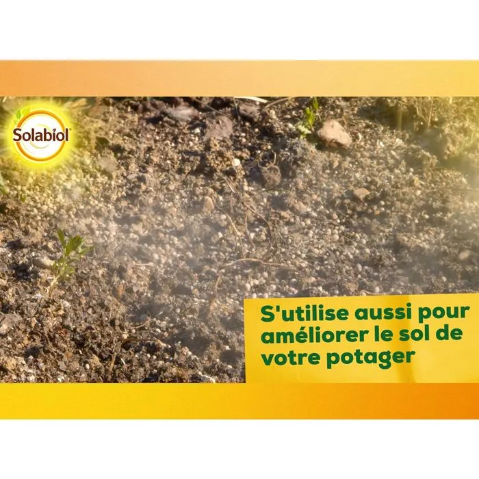 Solabiol Carbonate de Chaux et de Magnésium - 10 kg - Granulés pour sol - Corrige l'acidité du sol - Action progressive et durable - Utilisable en agriculture biologique