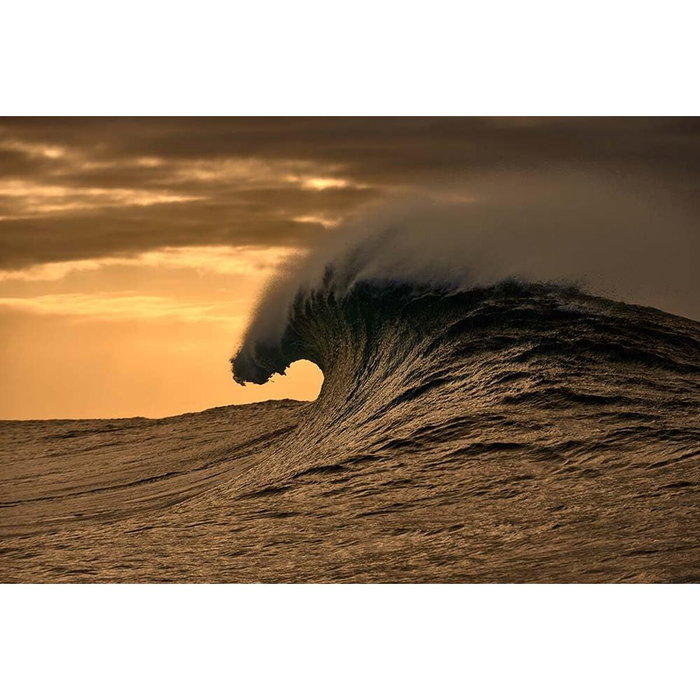 Monture de Lunettes Femme O'Neill ONB-4031 52108