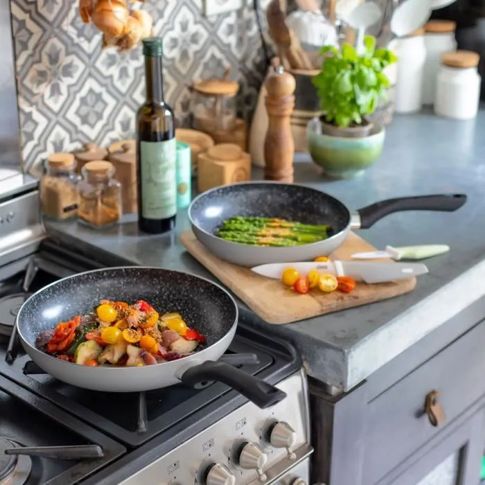 Livoo MEN124GR Set de 2 poêles aspect pierre 24 et 28 cm - Revêtement antiadhésif - Manche silicone - Compatible tous feux dont induction