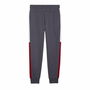 Pantalon de sport long Puma Power Colorblock Homme