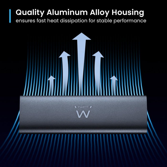 Disque Dur Externe Ewent EW7060 Gris
