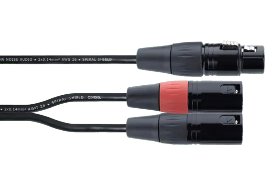 CORDIAL Câble Y XLR Femelle / 2 Jumper XLR Mâle 30 cm