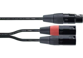 CORDIAL Cable Y XLR femelle vers 2 XLR mâles 30 cm