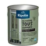 Ripolin Peinture Multi-Supports 2L, Mat, Vert Olive RAL 6021 - Pour Bois, Métal, Béton, PVC - Résistante aux UV et Intempéries