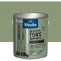 Ripolin Peinture Multi-Supports 2L, Mat, Vert Olive RAL 6021 - Pour Bois, Métal, Béton, PVC - Résistante aux UV et Intempéries