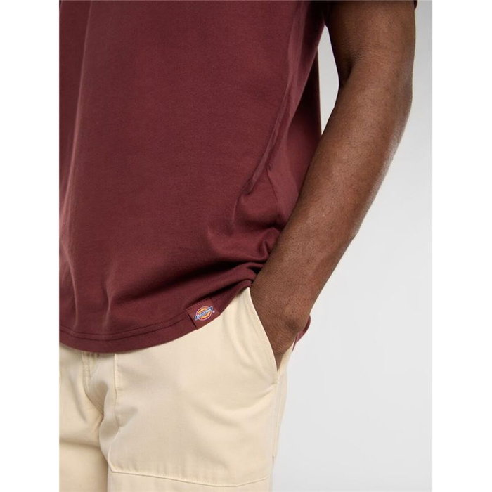 T-shirt à manches courtes homme Dickies Burns Marron 13-14 Ans