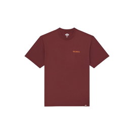 T-shirt à manches courtes homme Dickies Burns Marron 13-14 Ans