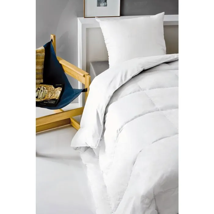 Abeil Lot de 2 Oreillers Aerelle Cool Night 60 x 60 cm Blanc - Oreiller Rafraîchissant pour Nuits Fraîches Abeil Lot de 2 Oreillers Aerelle Cool Night 60 x 60 cm Blanc - Oreiller Rafraîchissant pour Nuits Fraîches