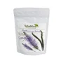 Salud Viva Psyllium en poudre Bio 200 g