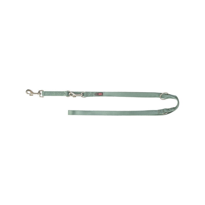 Laisse réglable pour chien Trixie Premium Vert M/L
