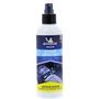 Michelin Spray Expert Désodorisant Stop-Odeurs 200ml pour Voiture - Élimine Tabac, Animaux, Habilage Textile et Tapis, Senteur Fraîche