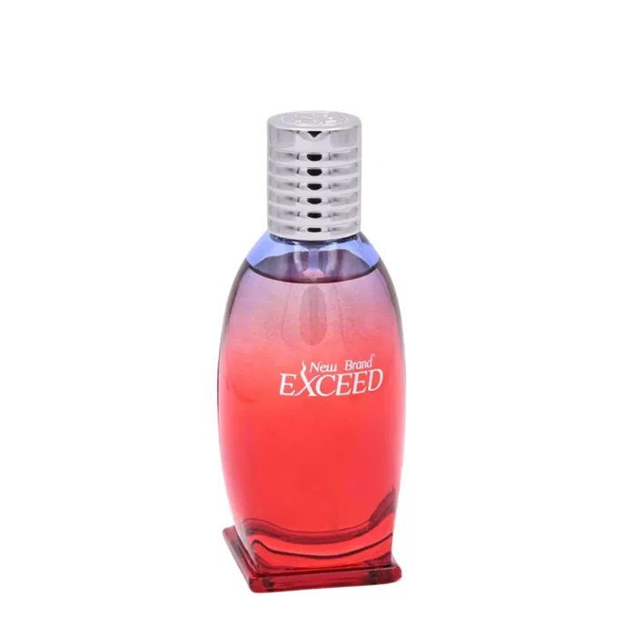 New Brand Exceed Eau de Toilette pour hommes 100 ml New Brand Exceed Eau de Toilette pour hommes 100 ml