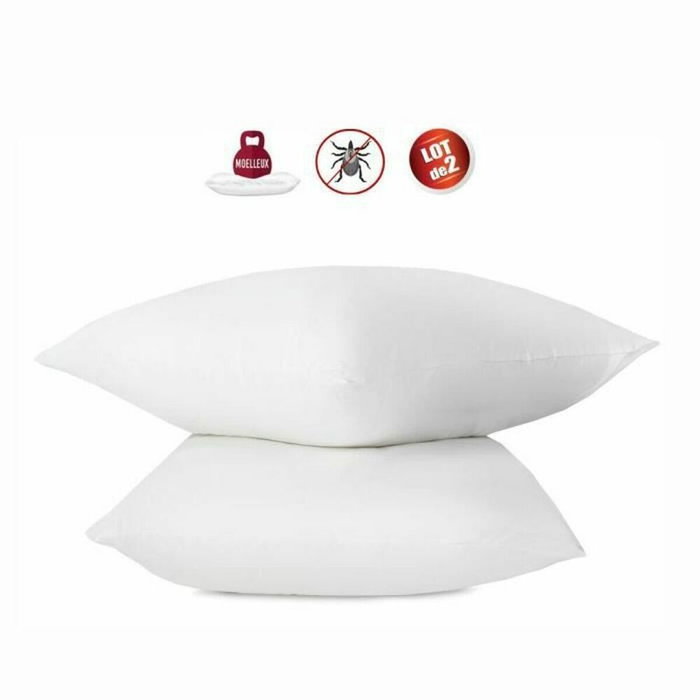 Abeil Lot de 2 oreillers anti-acariens en coton traité Biome, 60 x 60 cm