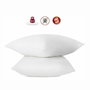 Abeil Lot de 2 oreillers anti-acariens en coton traité Biome, 60 x 60 cm