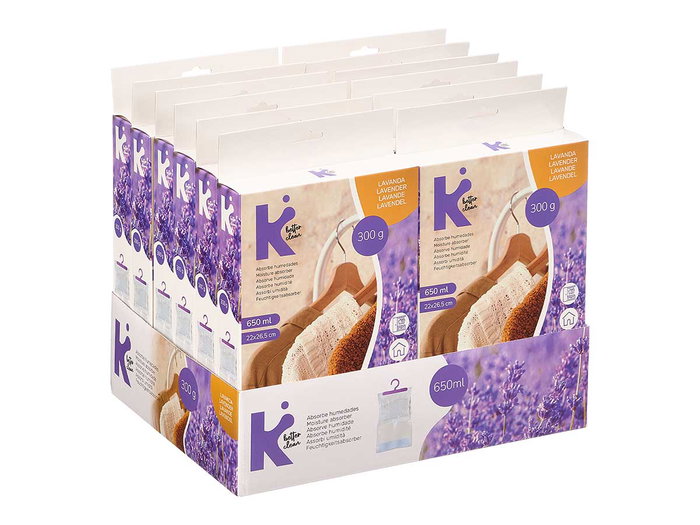 ARTE REGAL Sac absorbeur d'humidité lavande 650 ml