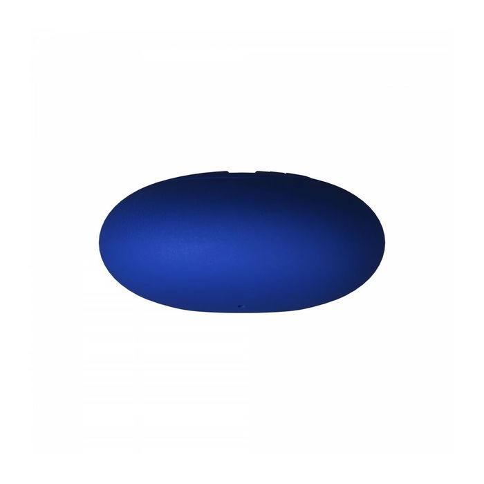 Plug Anal Party Color Toys Bleu (17 cm)