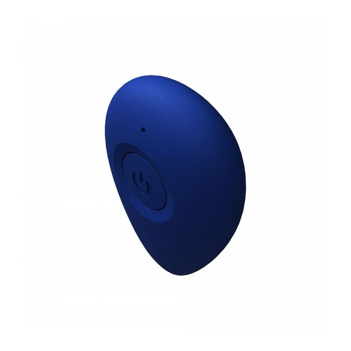 Plug Anal Party Color Toys Bleu (17 cm)